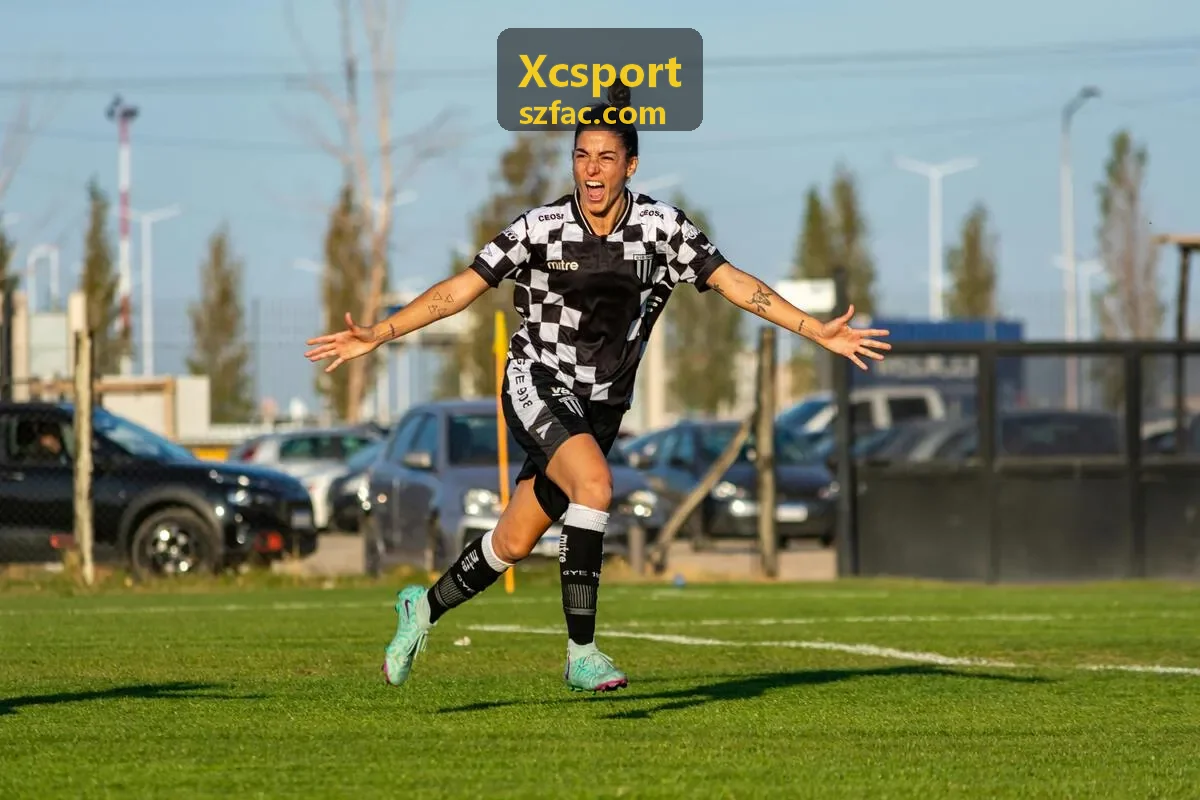 Xcsport 雪板材料案例